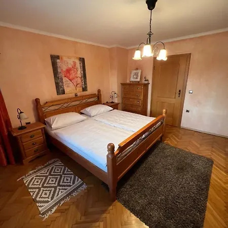 Apartmaji Iva شقة